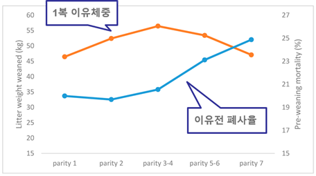 그림 3. 모돈 산차(parity)와 이유 체중 및 이유전 폐사율의 관계(A Review of Success Factors for Piglet Fostering in Lactation, Jena G. Alexopoulos et al)