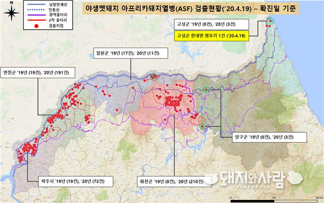 ASF 야생멧돼지 검출현황(4.19 기준)@환경부 