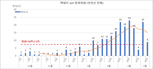 연천의 월별 주별 ASF 야생멧돼지 발생현황@환경부 