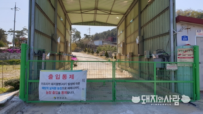 양주축산의 입구에 예방적 살처분 농장임을 알리는 현수막이 걸려 있습니다@돼지와사람