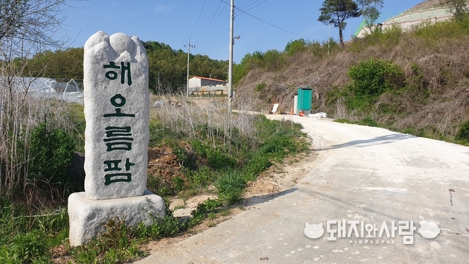 연천 해오름팜 표지석@돼지와사람