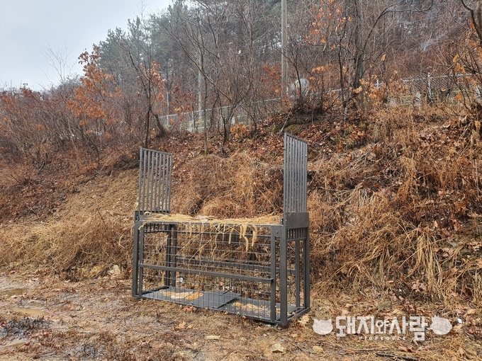 야생멧돼지 포획을 위해 설치된 포획틀@독자 제공 