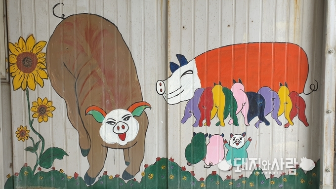 김일순 대표가 직접 그린 태연 농장의 돼지그림@돼지와사람