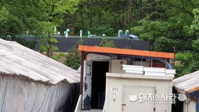 농장 뒤로 살처분 매몰지가 있습니다@돼지와사람 