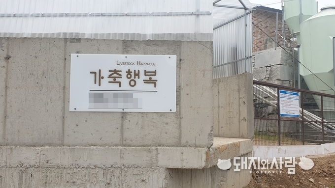 디디팜은 사람뿐만 아니라 가축의 행복을 꿈꾸었습니다@돼지와사람 