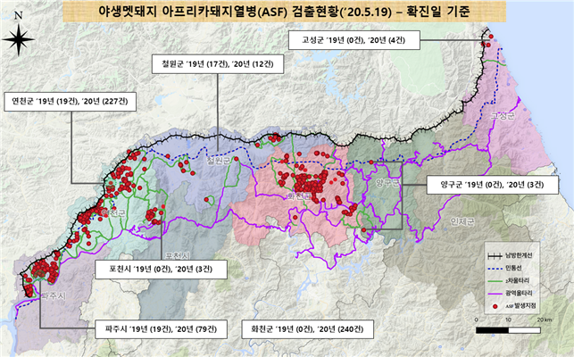 19일 기준 ASF 멧돼지 검출 현황@환경부 