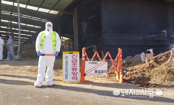 '19년 안성 구제역 발생농가@가축위생방역지원본부 