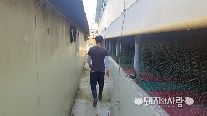 최대표는 어느 하나 허투로 하지 않고 성실히 양돈업을 해오고 있습니다@돼지와사람