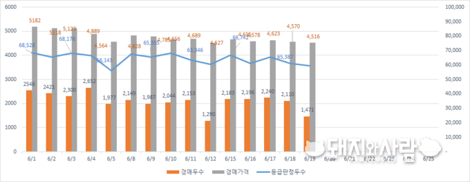 6월 돼지 경매두수 및 경매가격, 등급판정두수 추이@돼지와사람 편집 