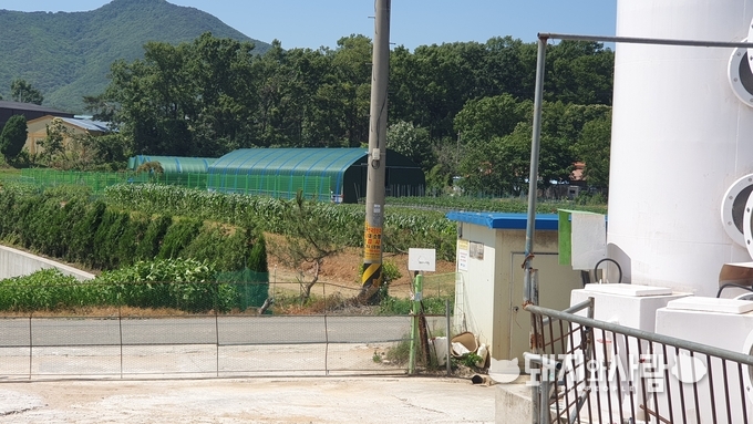 미림 농장 앞에서 보이는 살처분 매몰지@돼지와사람 