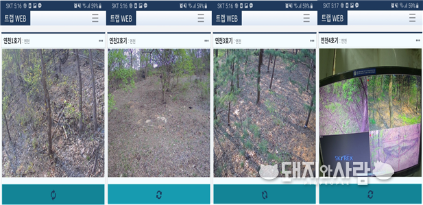 포획장은 카메라와 스마트폰 어플리케이션을 활용하여 멧돼지의 움직임을 모니터링, 원격으로 작동시킬 수 있습니다@환경부 