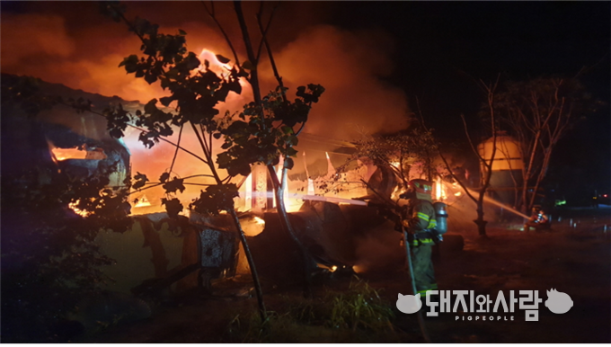 29일 충남 아산 돈사 화재@아산소방서 