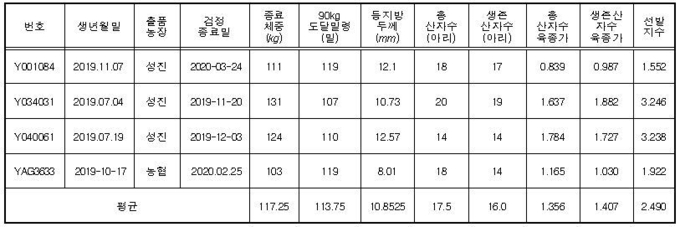 요크셔(모계) 표현형 및 육종가@축산과학원