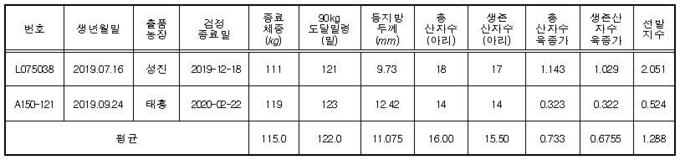 랜드레이스(모계) 표현형 및 육종가@축산과학원