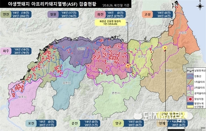 야생멧돼지 ASF 검출현황(8월 26일 기준)@환경부
