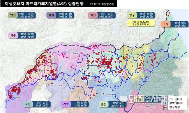 16일 기준 야생멧돼지 ASF 발생 현황@환경부 