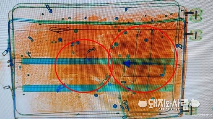 해외여행객 여행가방에 대한 X 검사에서 확인된 소시지@농림축산검역본부 'CIQ 업무 매뉴얼' 중 