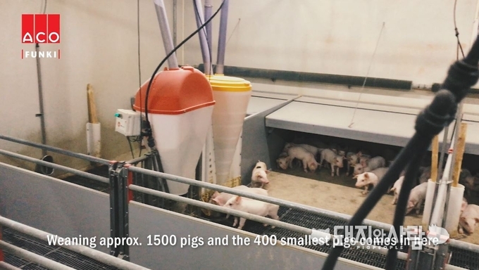 Baby Feeder for pigs - Feeder with sensor@Aco Funki