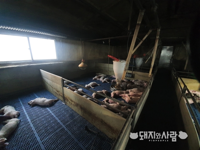 8일 충남 천안 돈사 화재@천안동남소방서