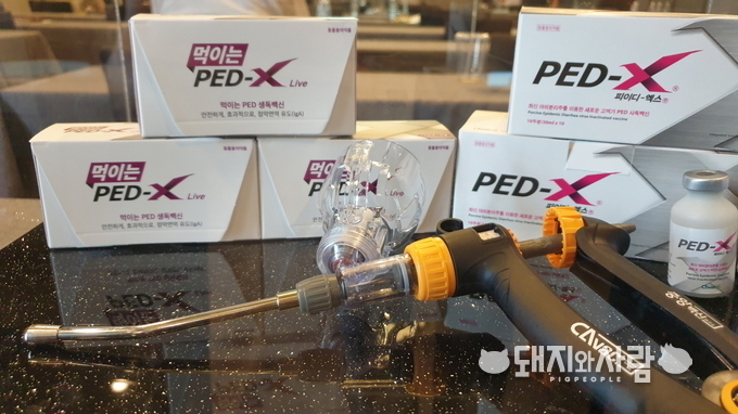 먹이는 PED X와 PED-X 사독 백신@돼지와사람 