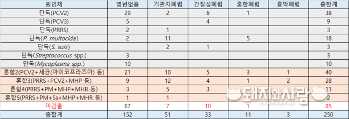 출하돼지 250건 도축폐 대상 전염성 원인체 11종에 대한 병리 및 항원검사@검역본부