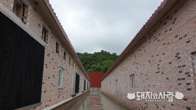 앞으로 가축분뇨 배출시설 설치 허가 시 가축분뇨 배출 및 악취저감 시설 계획을 제출해야 합니다@돼지와사람 