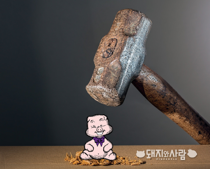 양돈농가는 한돈산업에서 해결해야 할 가장 중요한 문제를 외부에서 찾았습니다@픽사베이