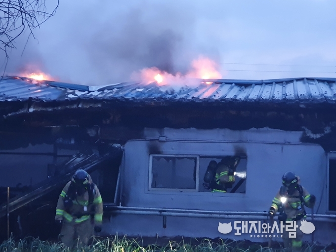 28일 전북 정읍 돈사 화재@정읍소방서