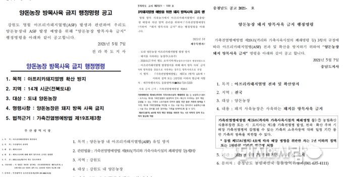 전국 주요 광역지자체 돼지 방목사육 금지 행정명령 공고@돼지와사람 편집 
