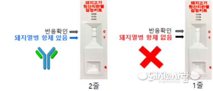 국립농산물품질관리원이 개발한 돼지고기 원산지 신속 검사키트@농관원