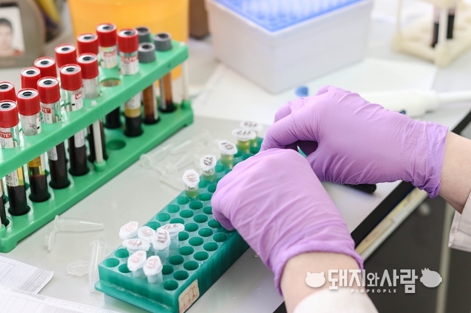 검역본부가 보유 중인 가축전염병 병원체에 대한 민간분양을 올해 하반기부터 전향적으로 확대합니다@픽사베이