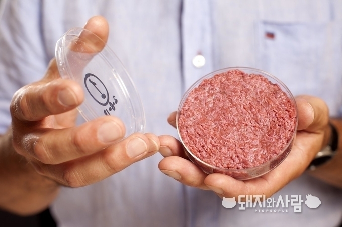 세포 배양 소고기 햄버거 패티@Mosa Meat