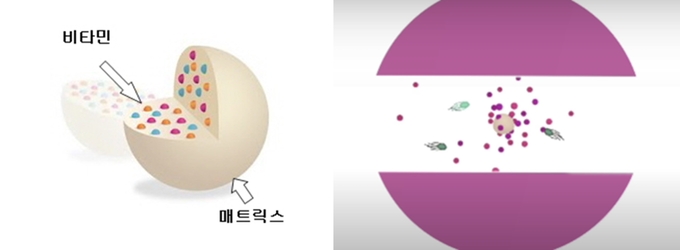 매트릭스 공법으로 지용성 비타민을 코팅하여 돼지의 소장까지 파괴되지 않고 안전하게 이동할 수 있는 제품이 출시되고 있다