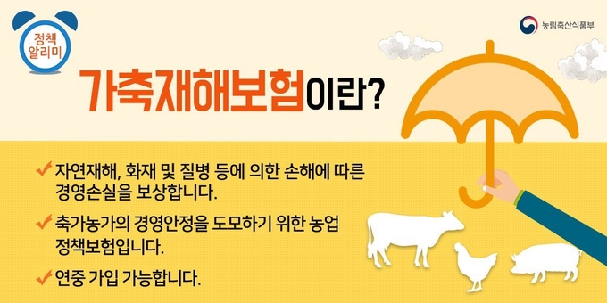 가축재해보험은 정부가 최대 5천만 원 한도로 보험료의 50%를 지원합니다@농식품부