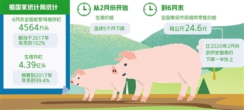 중국 국가통계국의 6월 말 기준 번식모돈과 생돈, 가격 통계. 참고로 6월 말 기준 생돈 가격은 24.6위안으로 지난 2월 가격의 절반 수준@중국 농업농촌부