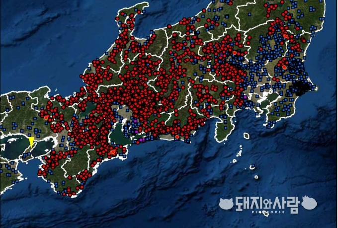 일본 CSF 양성 멧돼지 발견지점(빨간색) 및 아와지섬(노란색), 농장(파란색), 발생농장(보라색)@일본 농림수산성
