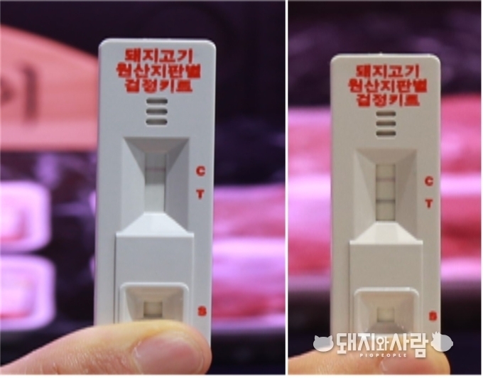 돼지고기 원산지 검정키트는 돼지열병 항체 유무를 통해 감별(왼쪽 수입산, 오른쪽 국내산)@농관원