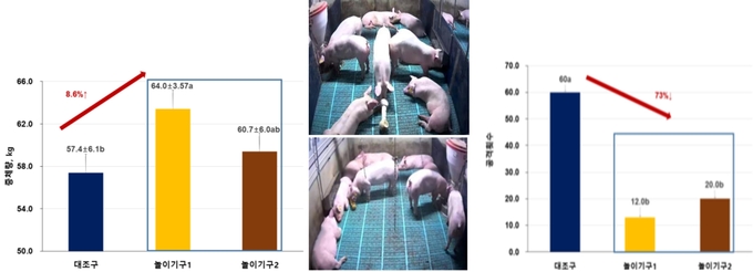 놀이기구 제공에 따른 비육돈 증체량(왼쪽) 및 공격행동 횟수(오른쪽) 비교@농촌진흥청