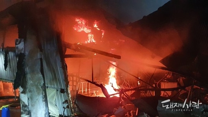 28일 충남 보령 돈사 화재@보령소방서
