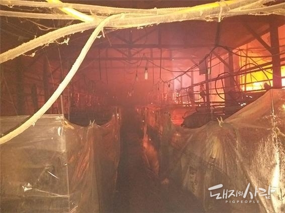 22일 경남 김해 돈사 화재@경남소방본부
