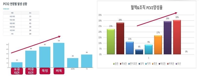 연령별 써코 양성률(왼쪽부터 전북대 동물질병진단센터 및 하림중앙연구소 자료)@30일 세바 웨비나 