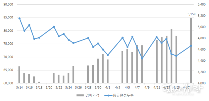 최근 한 달간 일일 등급판정두수 및 평균 경매가격@축산물품질평가원