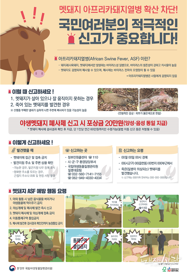 야생멧돼지 폐사체 신고요령@질병관리원