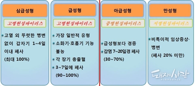 ASF 유형별 특징@ASF 표준교육교제(검역본부)