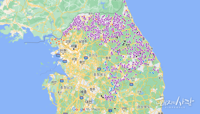 국내 ASF 발생지도(주황 사육돼지, 나머지 감염멧돼지)@구글지도 편집