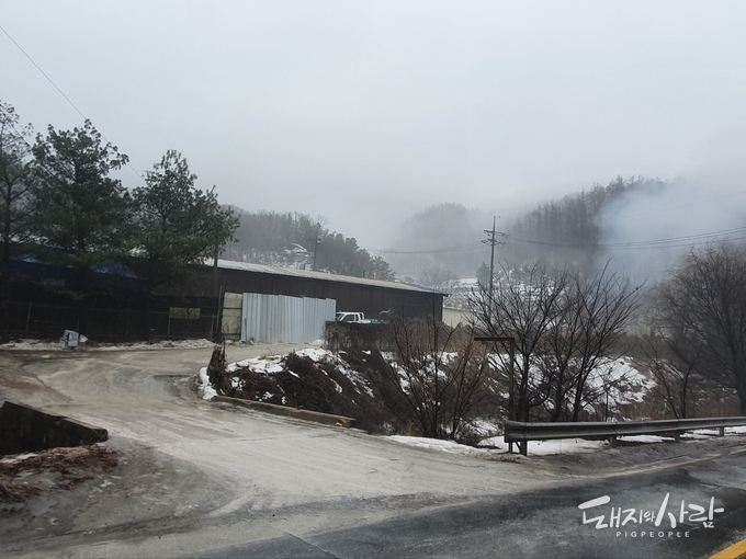 13일 예방적 살처분이 실시되고 있는 포천 발생농장의 다른 포천농장@돼지와사람