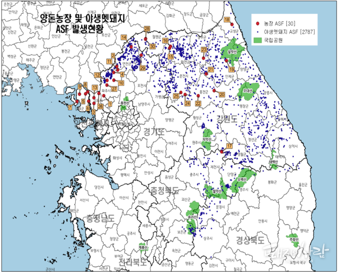 전국 ASF 발생현황(2019년~, 1.17 기준)@경기도청
