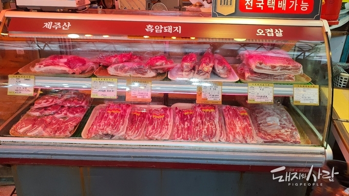 제주산 돼지고기@돼지와사람