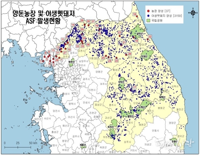25일 기준 전국 ASF 발생 상황@경기도청