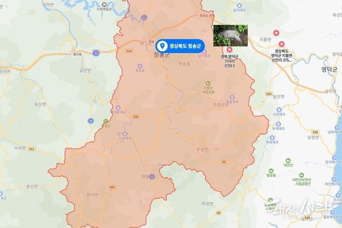 경북 영덕군 소재 주왕산국립공원(지품면 기사리)에서 ASF 감염멧돼지가 첫 발견되었습니다@네이버지도, 국립야생동물질병관리원